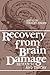 Recovery from Brain Damage: Research and Theory