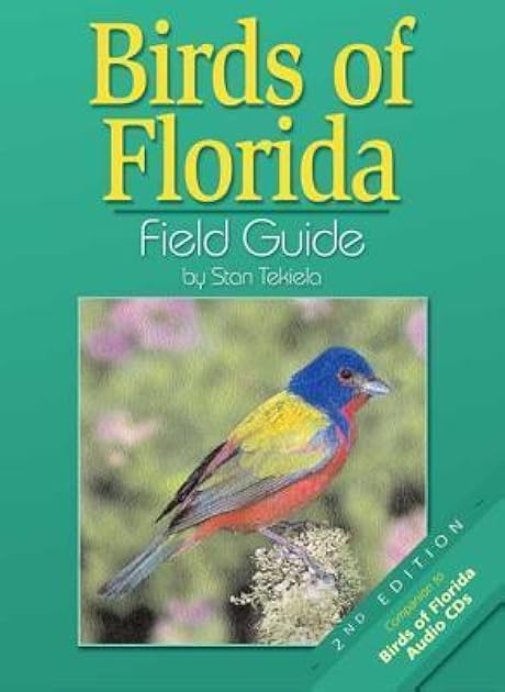 Birds Of Florida Field Guide