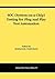 SOC (System-on-a-Chip) Testing for Plug and Play Test Automation (Frontiers in Electronic Testing)