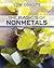 The Basics of Nonmetals