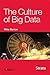 The Culture of Big Data