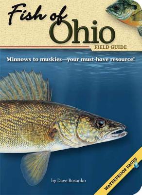 Fish of Ohio Field Guide (Fish Identification Guides)