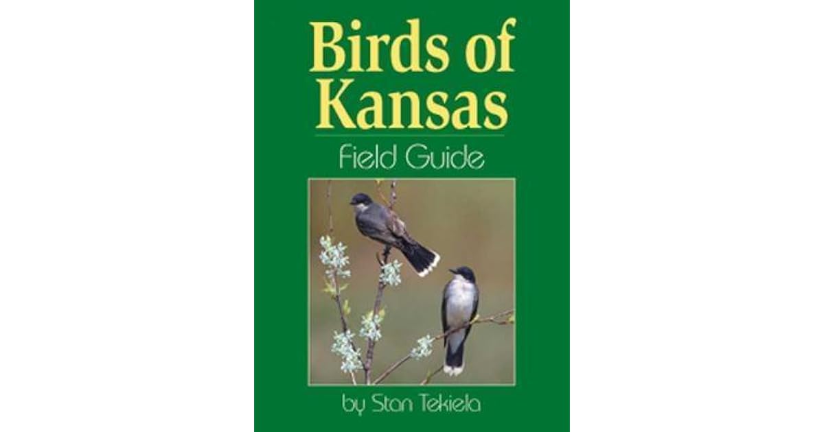 Birds Of Kansas Field Guide By Stan Tekiela Birds Of Kansas Field Guide By Stan Tekiela