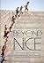 Beyond Nice: Creating Excellent Working Relationships in Churches and other Christian Organisations