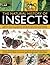 The Natural History Of Insects: A Guide to the World of Arthropods, Covering Many Insect Orders, Including Beetles, Flies, Stick Insects, Dragonflies, Ants and Wasps, as well as Microscopic Creatures