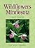 Wildflowers of Minnesota by Stan Tekiela