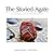 The Storied Agate: 100 Uniq...