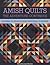 Amish Quilts―The Adventure Continues: Featuring 21 Projects from Traditional to Modern