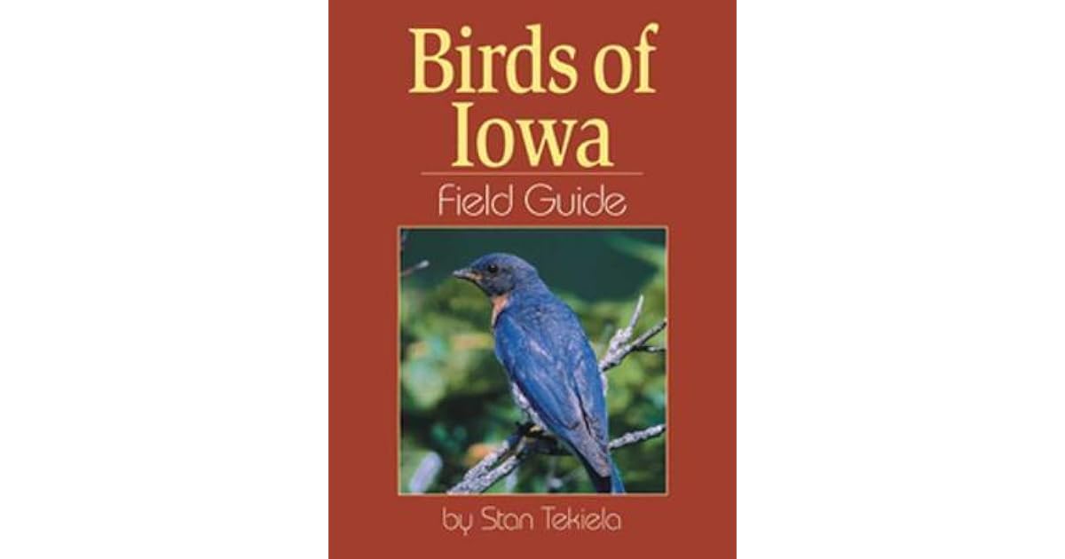 Birds Of Iowa Field Guide By Stan Tekiela Birds Of Iowa Field Guide By Stan Tekiela
