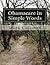 Obamacare in Simple Words