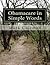 Obamacare in Simple Words by Mark Coleman