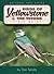 Birds of Yellowstone & Tetons Field Guide