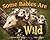 Some Babies Are Wild by Marion Dane Bauer Some Babies Are Wild by Marion Dane Bauer
