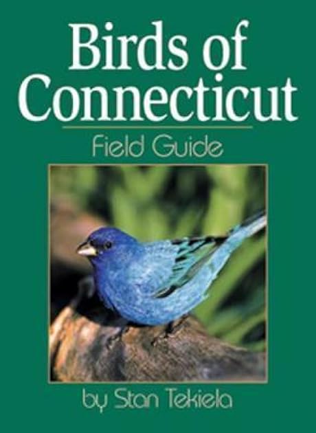 Birds of Connecticut Field Guide