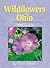 Wildflowers of Ohio Field Guide by Stan Tekiela