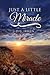 Just A Little Miracle by D.J. Irwin