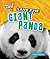 Save the Giant Panda (Animal SOS!)