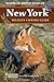 New York Wildlife Viewing Guide: Where to Watch Wildlife (Watchable Wildlife Series)