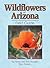 Wildflowers of Arizona Field Guide (Wildflower Identification Guides)