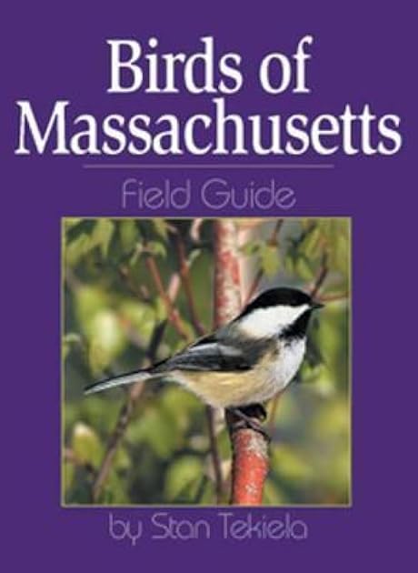 Birds of Massachusetts Field Guide