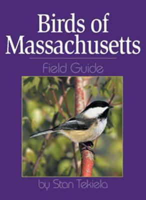 Birds of Massachusetts Field Guide (Paperback)