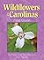 Wildflowers of the Carolinas Field Guide (Wildflower Identification Guides)