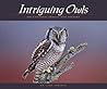 Intriguing Owls: ...