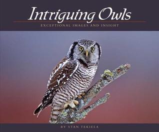 Intriguing Owls: Exceptional Images and Insight (Wildlife Appreciation)