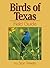Birds of Texas Field Guide