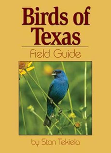 Birds of Texas Field Guide (Bird Identification Guides)
