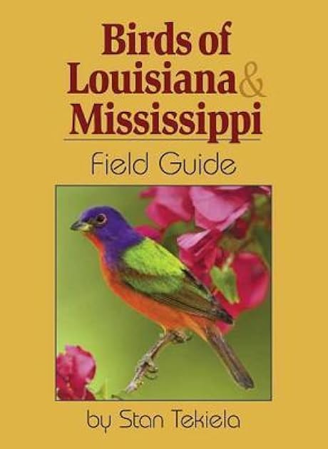 Birds of Louisiana & Mississippi Field Guide (Bird Identification Guides)