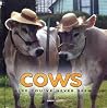 Cows Like You've Never Seen Cows Like You've Never Seen