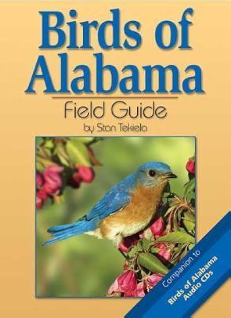 Birds of Alabama Field Guide (Bird Identification Guides)