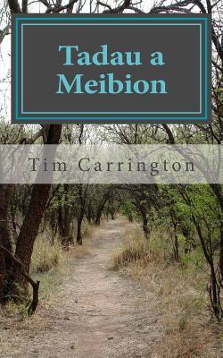 Tadau a Meibion: (Fathers and Sons) (The Cyfarwydd Series)