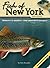 Fish of New York Field Guide (Fish Identification Guides)