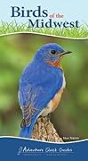 Birds of the Midwest: Identify Backyard Birds with Ease