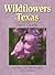 Wildflowers of Texas Field Guide (Wildflower Identification Guides)