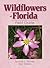 Wildflowers of Florida Field Guide (Wildflower Identification Guides)