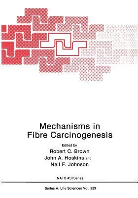 Mechanisms in Fibre Carcinogenesis (NATO Science Series A:)