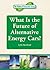 What Is the Future of Alternative Energy Cars? (Future of Renewable Energy (Reference Point))