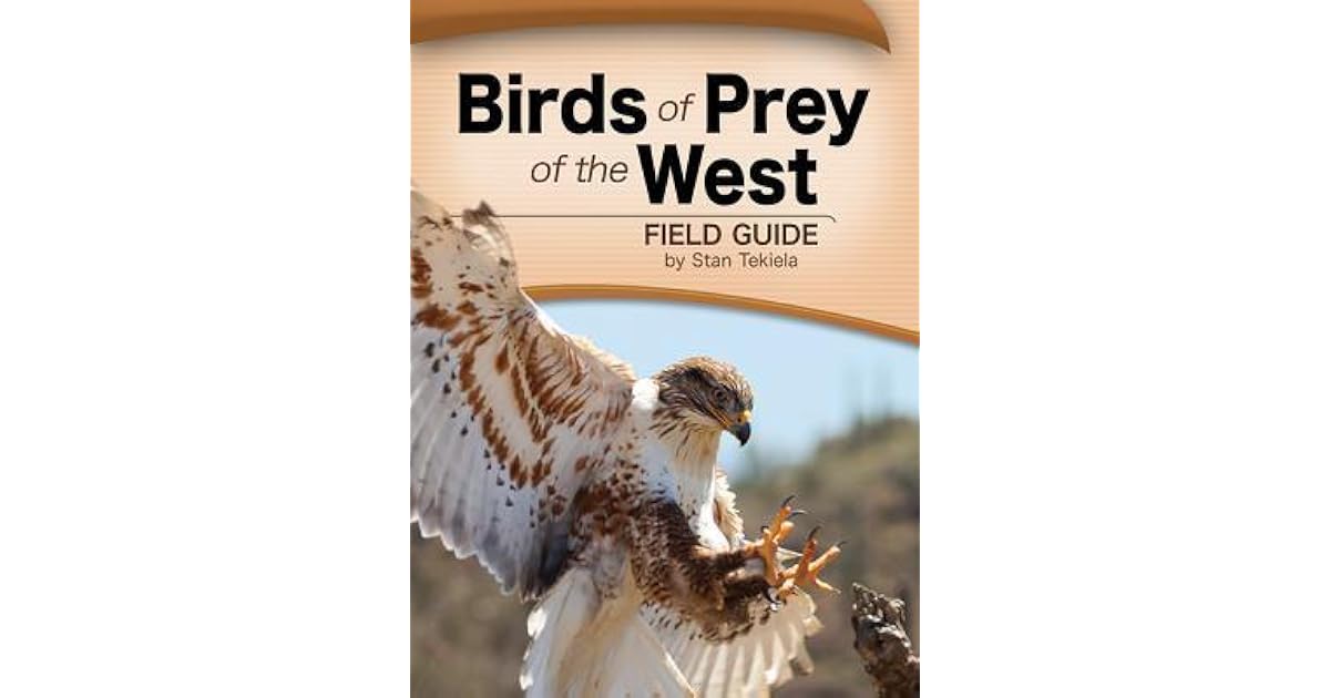 Birds of Prey of the West Field Guide by Stan