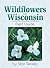 Wildflowers Of Wisconsin