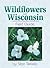 Wildflowers Of Wisconsin by Stan Tekiela