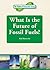What Is the Future of Fossil Fuels? (Future of Renewable Energy (Reference Point))