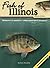 Fish of Illinois Field Guide (Fish Identification Guides)