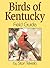 Birds of Kentucky Field Guide by Stan Tekiela