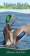 Water Birds of the Midwest: Your Way to Easily Identify Water Birds