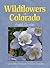 Wildflowers of Colorado Fie...