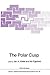 The Polar Cusp (Nato Science Series C:)