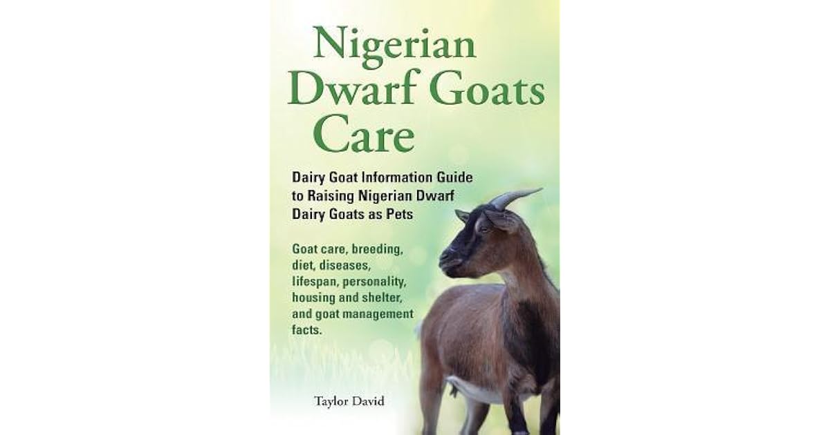 Nigerian Dwarf Goats Care Dairy Goat Information Guide to Raising Nigerian Dwarf Dairy Goats as